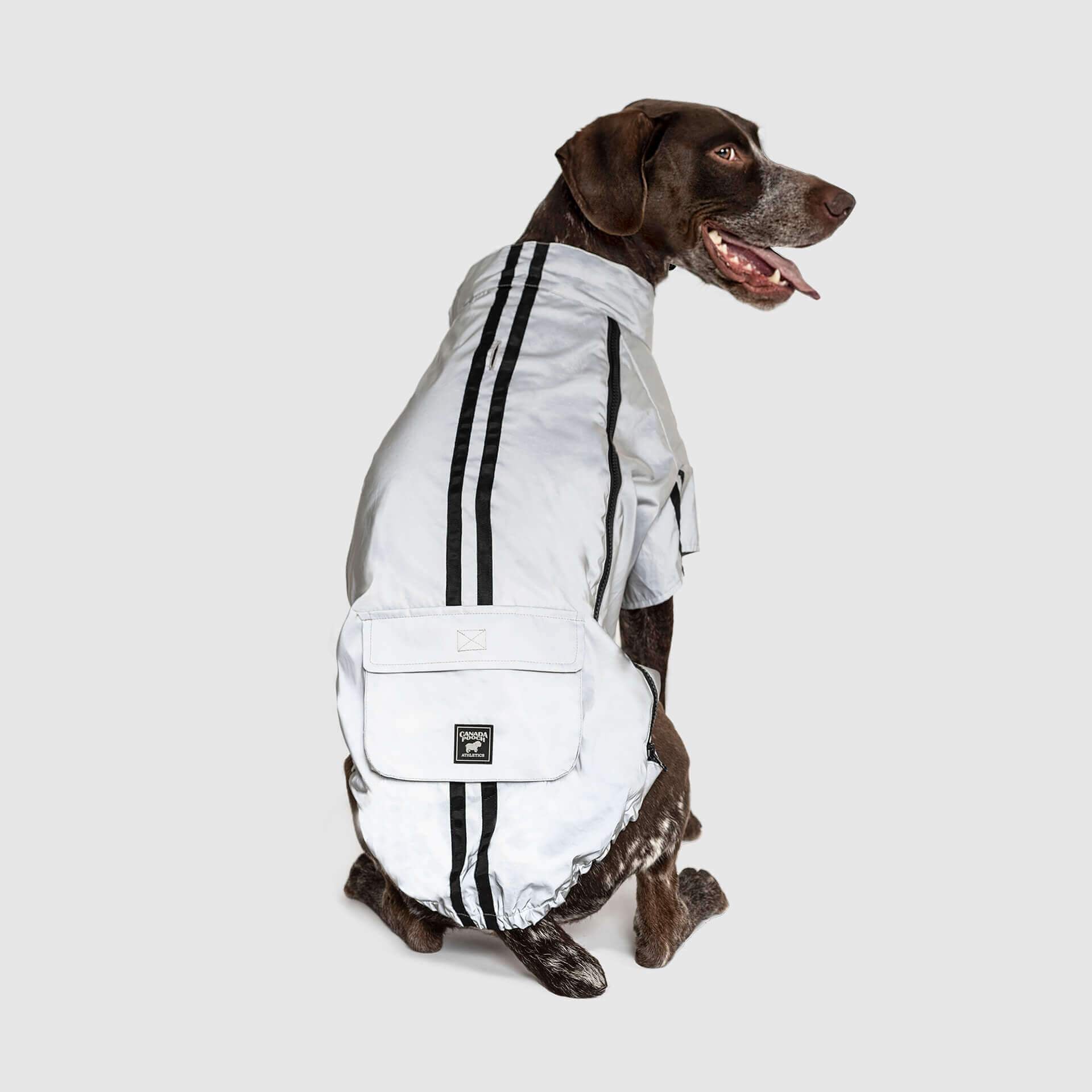 Night Vision Reflective Dog Jacket & Raincoat | Canada Pooch