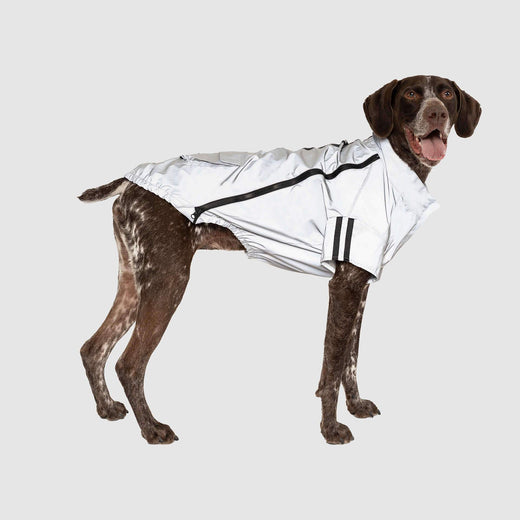 Night Vision Reflective Jacket, Canada Pooch Dog Jacket