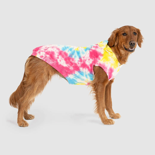 No Authority Dog Hoodie in Tie Dye, Canada Pooch Dog Sweater
