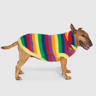 Over the Rainbow Sweater in Rainbow Stripe, Canada Pooch Dog Sweater