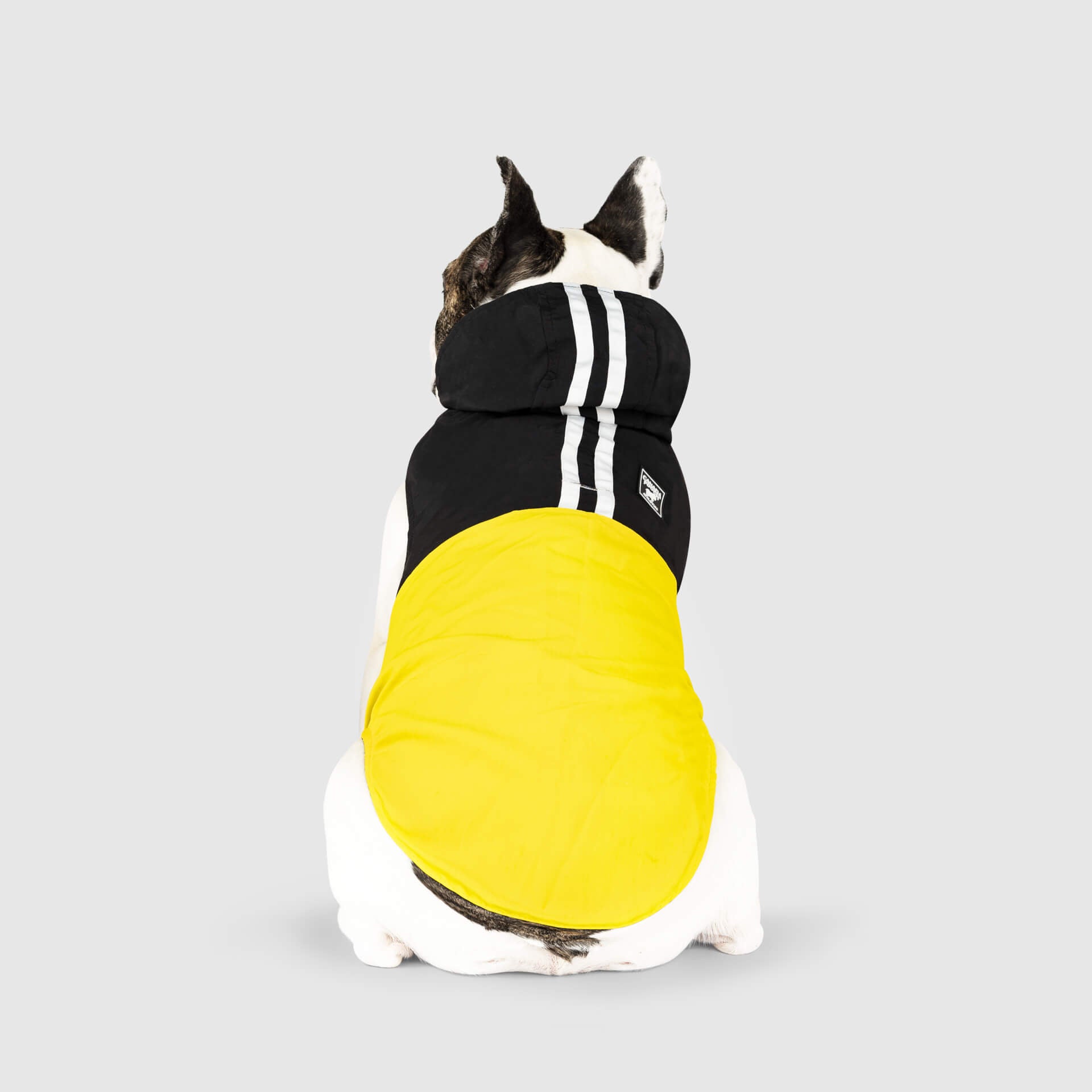 Pack It Jacket - Packable Dog Raincoat | Canada Pooch