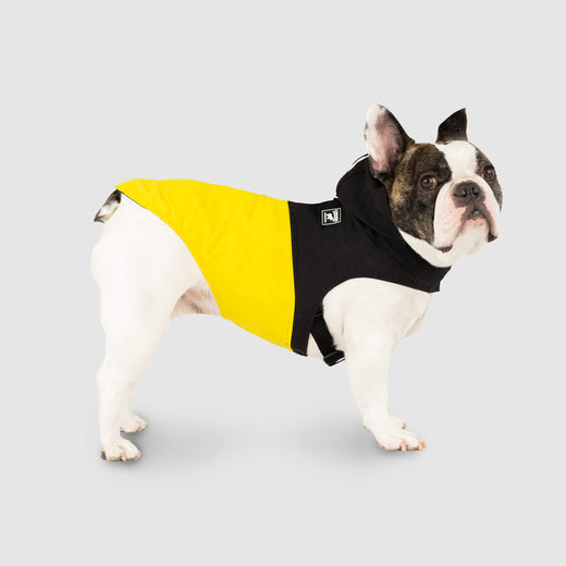 Pack It Jacket in Black Yellow, Canada Pooch Dog Rain Jacket