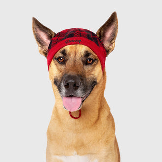 Patterned Beanie in Red Plaid, Canada Pooch Dog Hat
