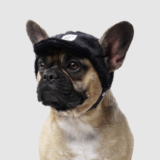 Pawparazzi Dog Hat in Black, Canada Pooch Dog Hat