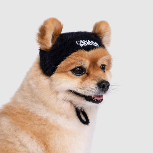 Pawparazzi Beanie in Black, Canada Pooch Dog Hat