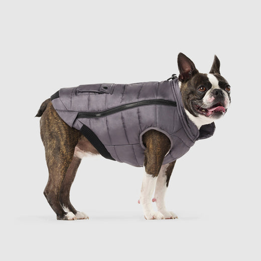 Peak Performance Dog Vest in Grey, Canada Pooch Dog Vest