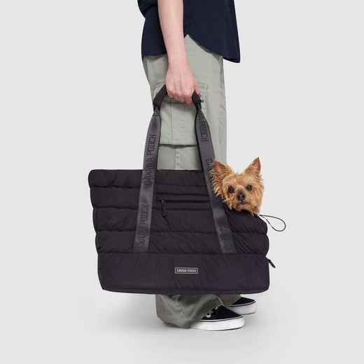 Pet Carriers That Double As City Totes · The Wildest