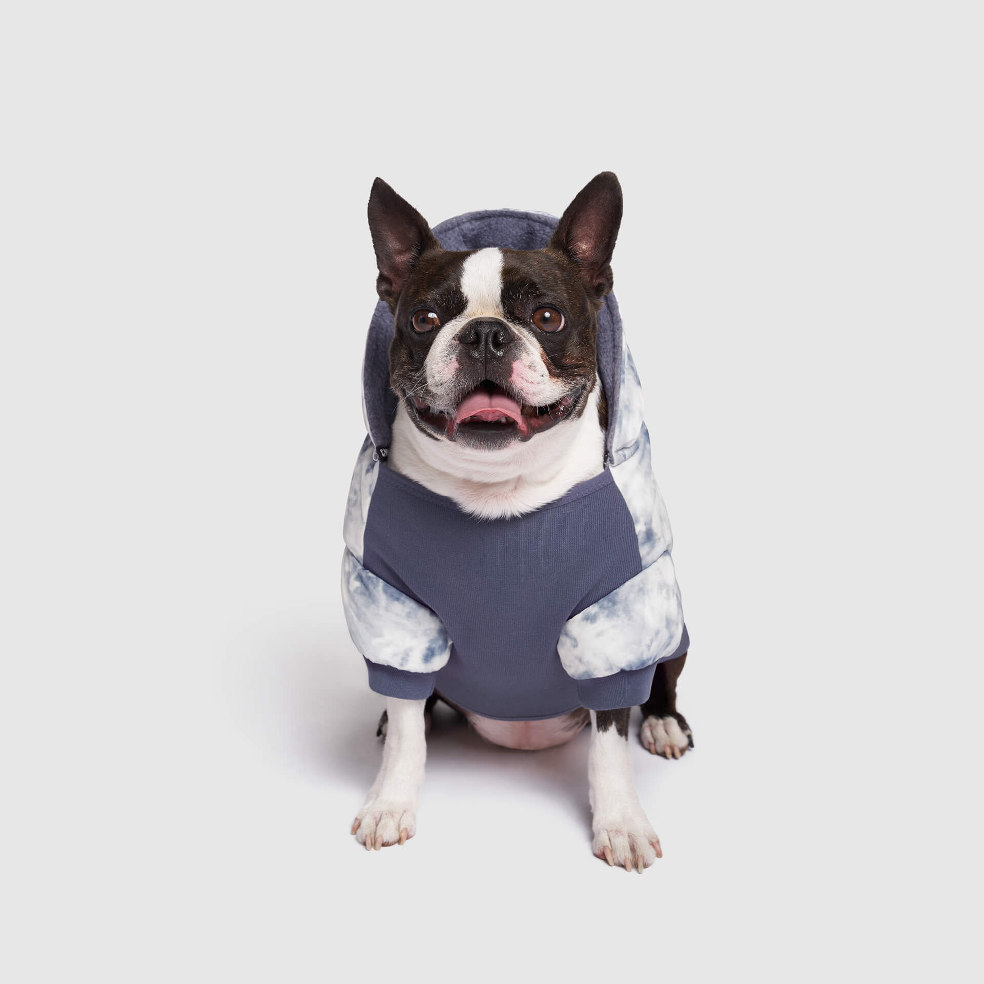Prism Puffer Dog Jacket | Canada Pooch