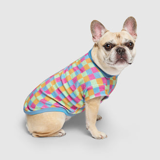 Resort Terry Tee in Rainbow Check, Canada Pooch Dog T Shirt