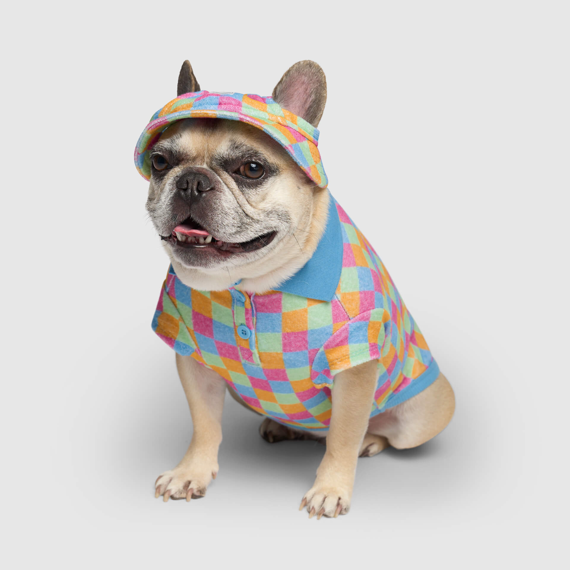 Resort Checkered Dog Polo Shirt | Canada Pooch