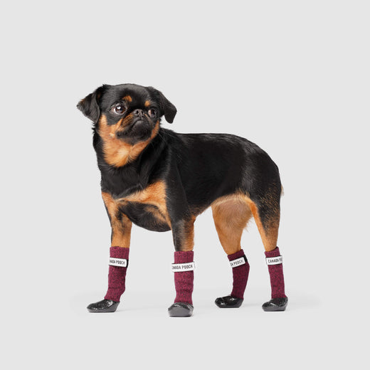Secure Sock Boots - Traction Booties for Dogs