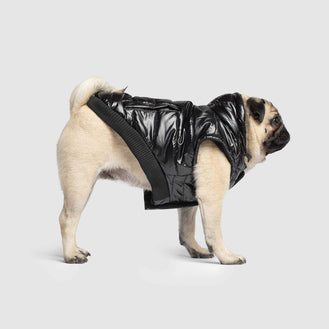 Shiny Puffer Dog Vest in Black, Canada Pooch Dog Puffer Vest 