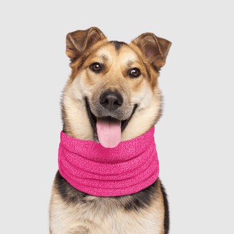 Sierra Dog Scarf in Pink, Canada Pooch Dog Scarf 
