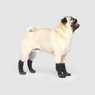 Slouchy Dog Socks in Black, Canada Pooch Dog Socks 