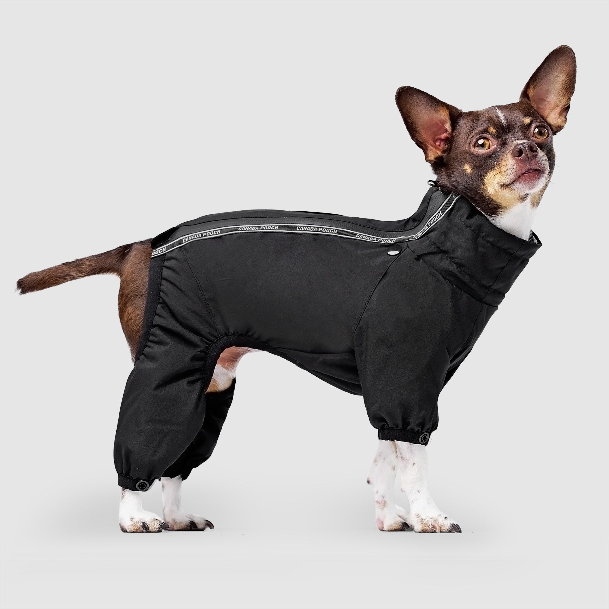 Full Body One-Piece Dog Snowsuit