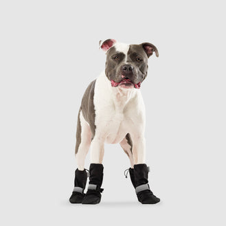 Soft Shield Boots in Black Reflective, Canada Pooch Dog Boots