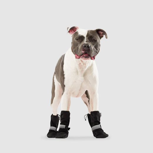 12 Pieces Dog Socks Non-Slip Dog Boots with Straps Rubber Sole