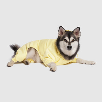 Soft Side Sweatsuit in Yellow, Canada Pooch Dog Onesie