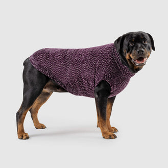 Soho Dog Sweater in Magenta, Canada Pooch Dog Sweater 