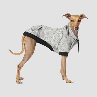 Spacedye Hero Dog Hoodie in Grey Mix, Canada Pooch Dog Sweater 