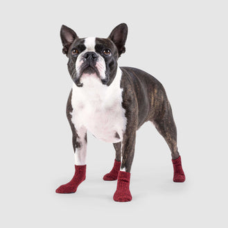 The Basic Sock in Red, Canada Pooch Dog Socks