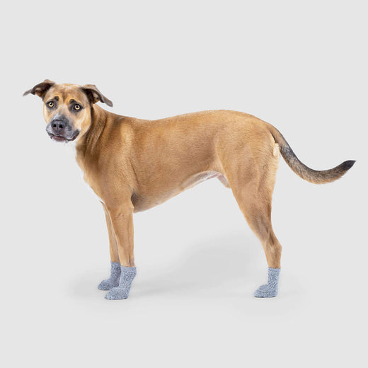2 Pairs Anti Slip Dog Socks, Dog Grip Socks With Straps Traction