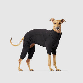 Puppy Italian Greyhound Panties, Puppy Italian Greyhound Underwear, Briefs,  Cotton Briefs, Funny Underwear, Panties for Women -  Canada