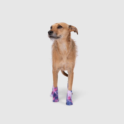 Tie Dye Cute Rubberized Dog Socks