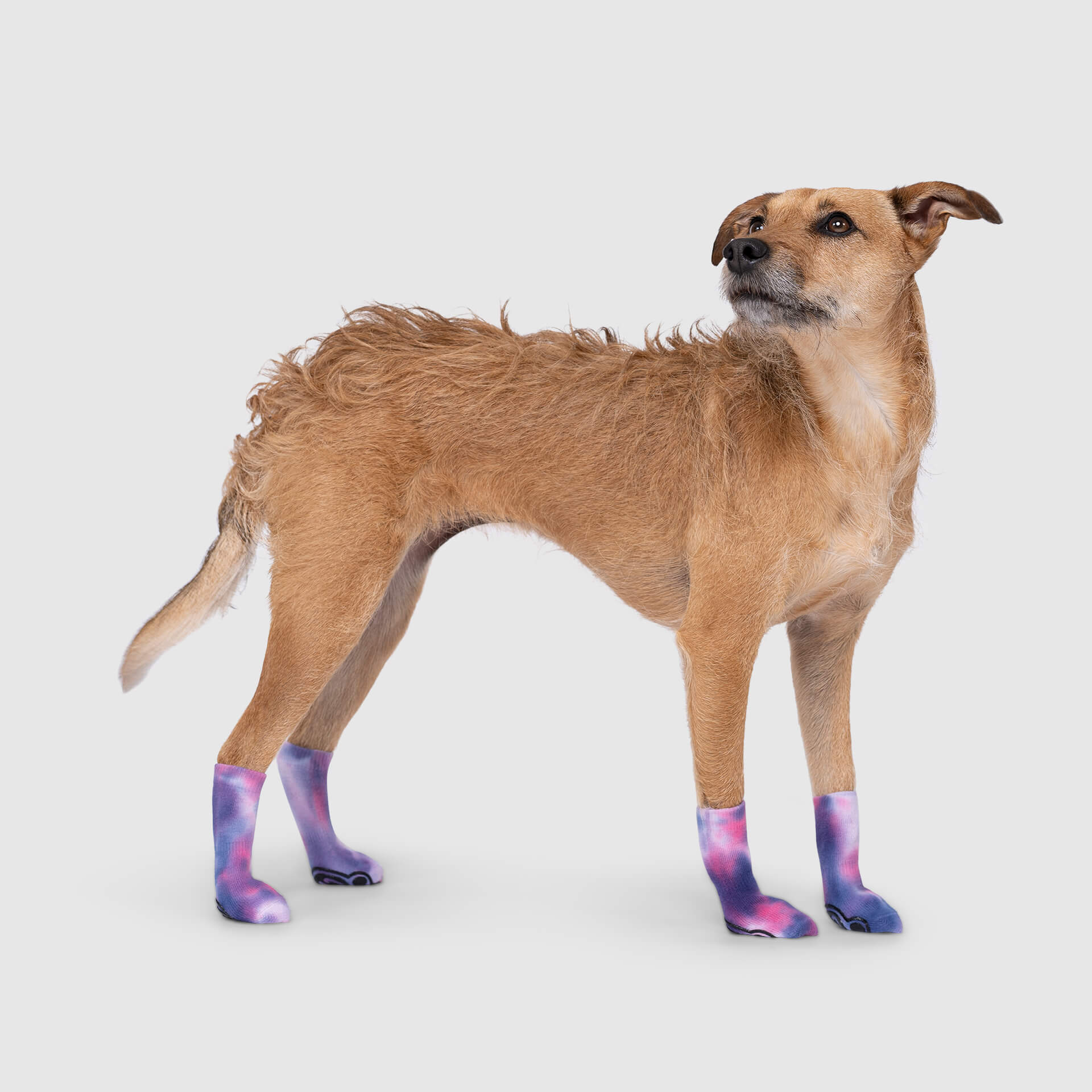 EXPAWLORER Non-Slip Tie-dye Dog Socks