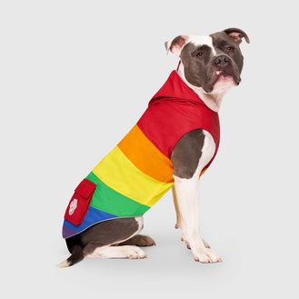 Torrential Tracker   in  Rainbow, Canada Pooch Dog Raincoat