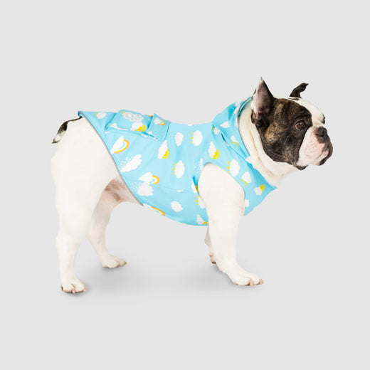 Wet Reveal Torrential Tracker , Canada Pooch Dog Raincoat