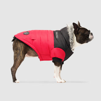 The True North Dog Parka in Red, Canada Pooch 