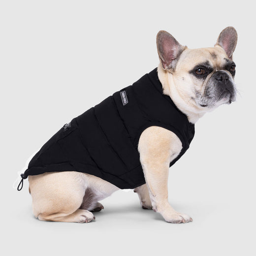 Ultimate Stretch Vest in Black, Canada Pooch Dog Vest