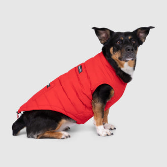 Ultimate Stretch Vest in Red, Canada Pooch Dog Vest