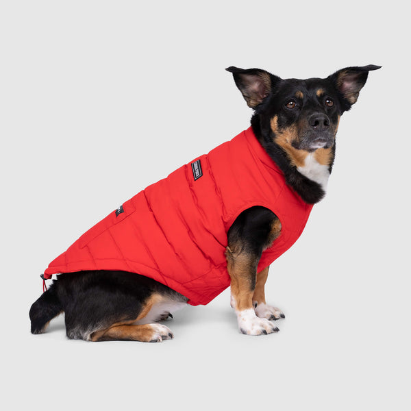 Ultimate Stretch Water-Resistant Warm Dog Vest | Canada Pooch