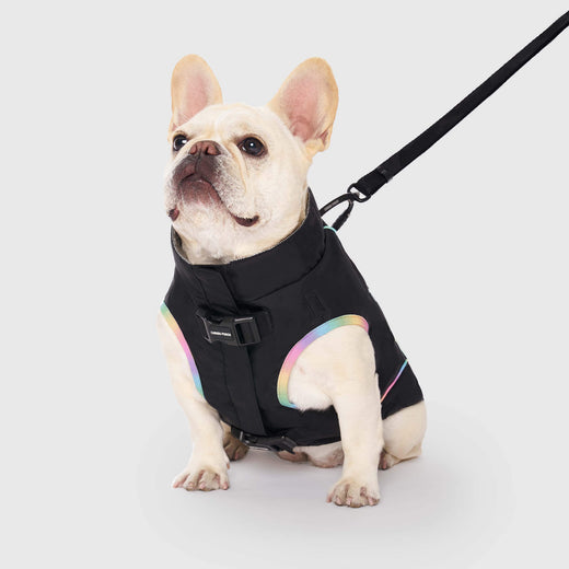 Utility Parka in Black, Canada Pooch Dog Parka