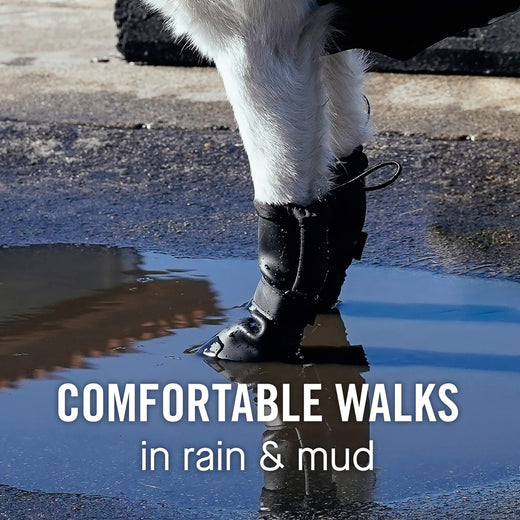 Waterproof Dog Shoes for Rain Canada Pooch