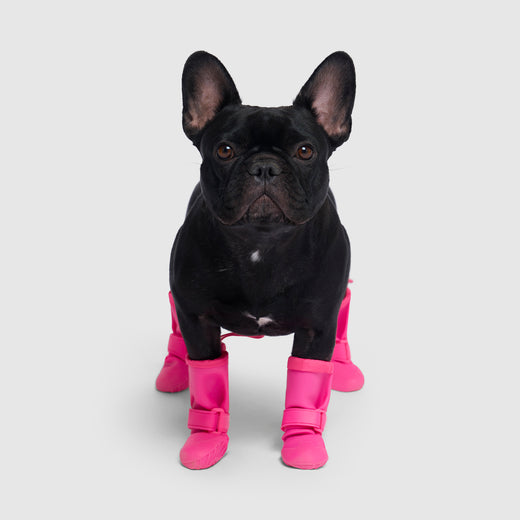Waterproof Dog Shoes for Rain Canada Pooch