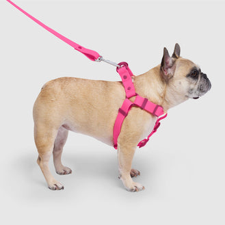 Waterproof Harness in Pink, Canada Pooch Dog Harness
