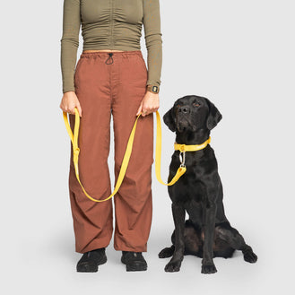 Waterproof Leash in Yellow, Canada Pooch Dog Leash