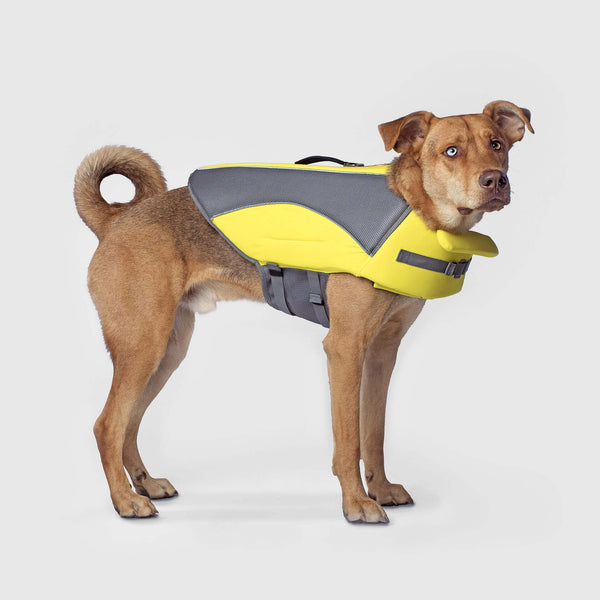 The Wave Ride Life Vest in Yellow, Canada Pooch Dog Life Jacket || color::yellow || size::XL