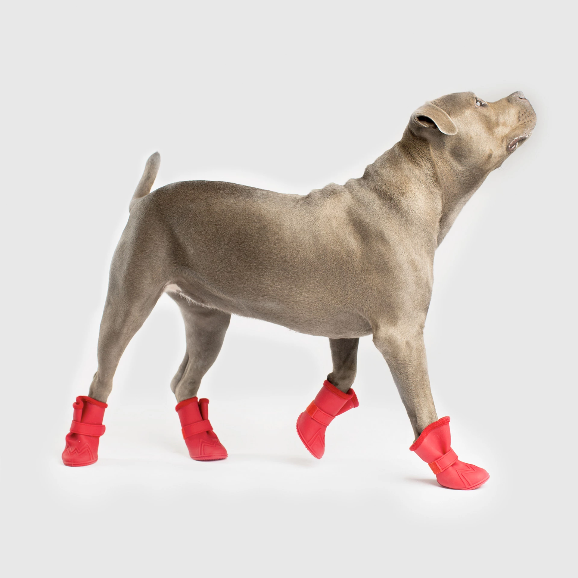 Lined Wellies Dog Winter Boots Canada Pooch