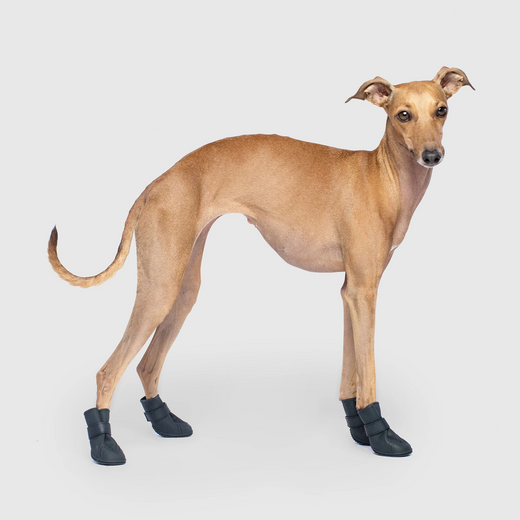 Wellies Unlined Dog Boots in Black, Canada Pooch, Dog Boot