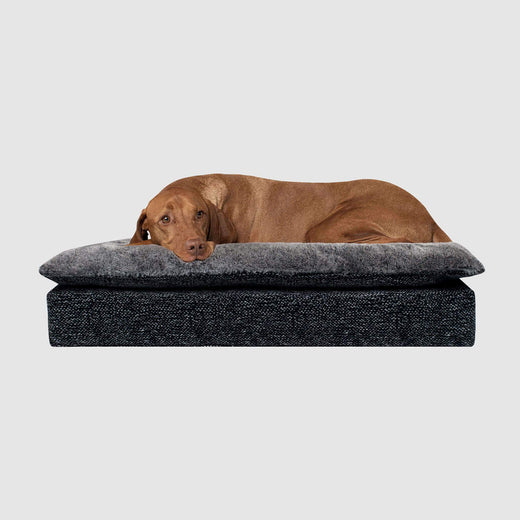 Mat Dog Bed in Carbon Black, Canada Pooch Pillow Topper Birch Bed