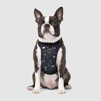 The Everything Dog Harness in Black Splatter, Canada Pooch Dog Harness 